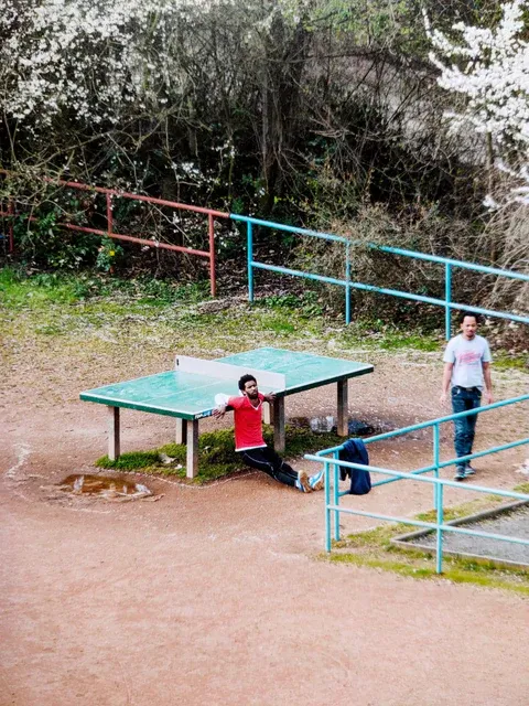 The Table That Forgot About Ping Pong
